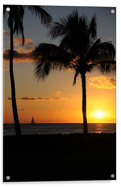 Sailing in Paradise Acrylic by DROO Photographer