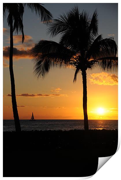 Sailing in Paradise Print by DROO Photographer