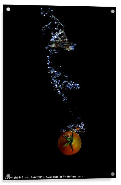 Cherry Bomb Acrylic by Stuart Reid