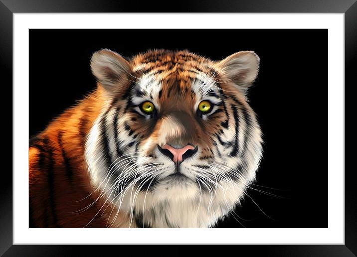 Siberian Tiger Framed Mounted Print by Julie Hoddinott