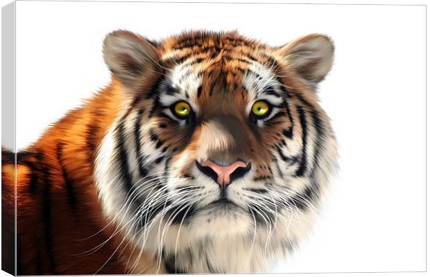 Siberian Tiger on White Canvas Print by Julie Hoddinott