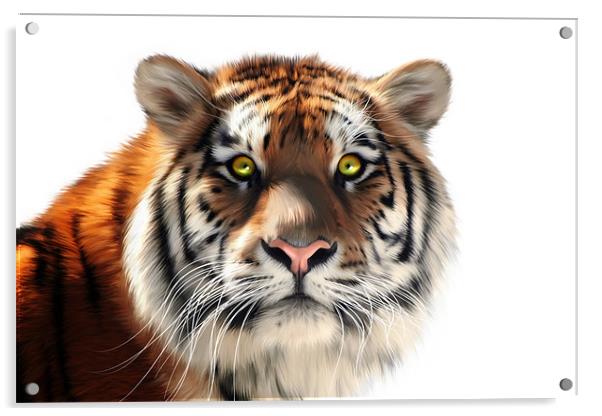 Siberian Tiger on White Acrylic by Julie Hoddinott