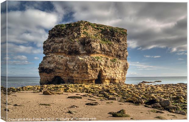 Whats Left Of Marsden Rock Canvas Print by Ray Pritchard