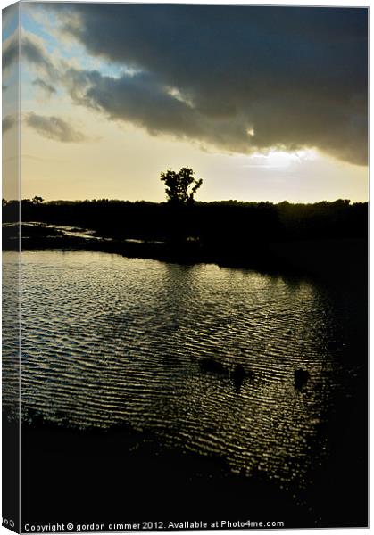 Sun setting in new forest Canvas Print by Gordon Dimmer
