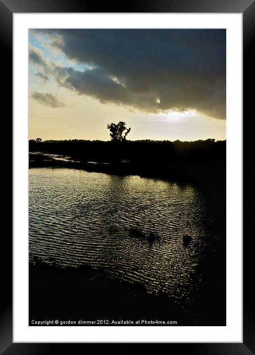 Sun setting in new forest Framed Mounted Print by Gordon Dimmer