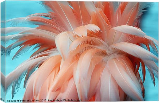 FLAMINGO FEATHERS Canvas Print by Helen Cullens