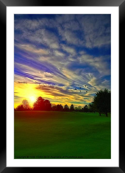 SUNSET SERENADE Framed Mounted Print by Tom York