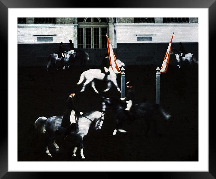 Spanish Riding School Framed Mounted Print by david harding