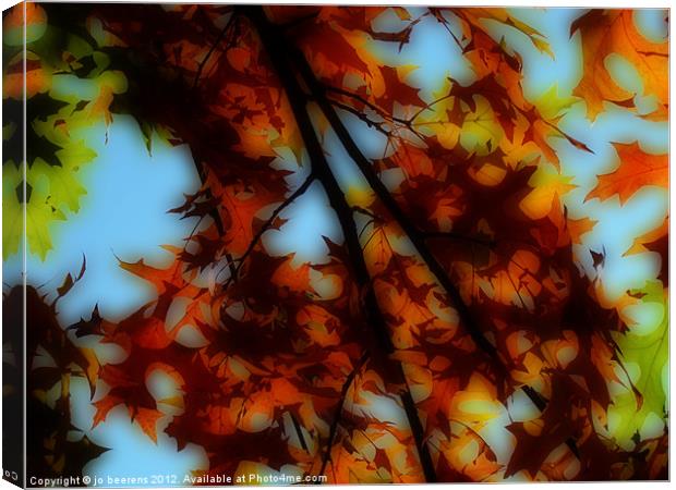 autumn leaves Canvas Print by Jo Beerens