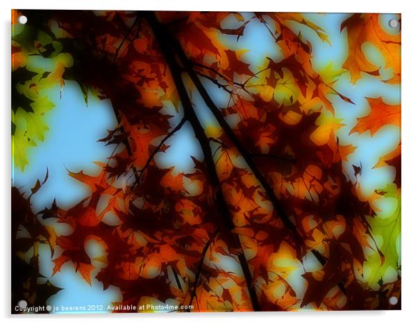 autumn leaves Acrylic by Jo Beerens