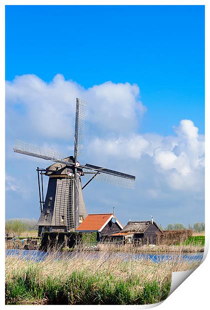 Dutch Windmill Print by Ankor Light