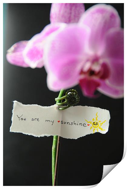 Love Notes I Print by DROO Photographer
