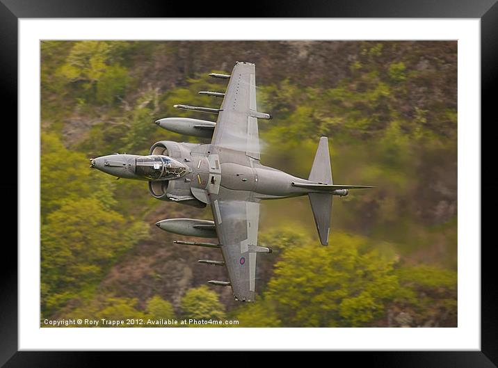 Harrier on Corris corner Framed Mounted Print by Rory Trappe