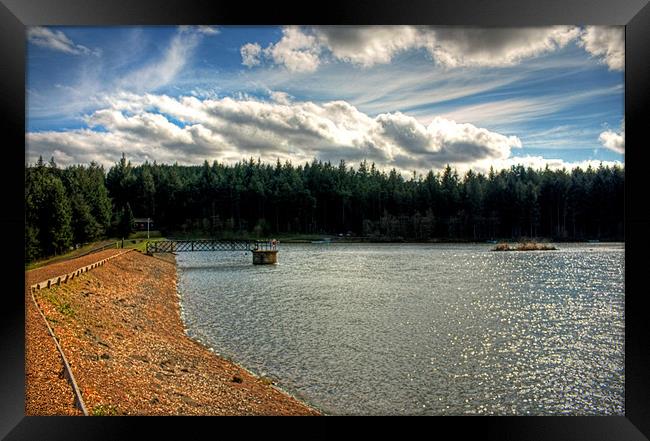 The path along the dam Framed Print by Tom Gomez