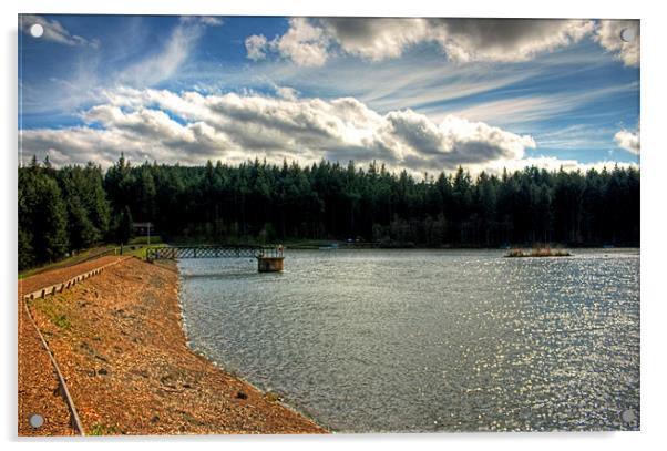 The path along the dam Acrylic by Tom Gomez