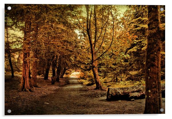 Autumn Walk . Acrylic by Irene Burdell