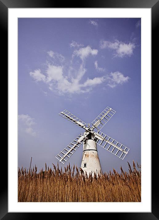 Thurne Windmill through the Reeds Framed Mounted Print by Paul Macro