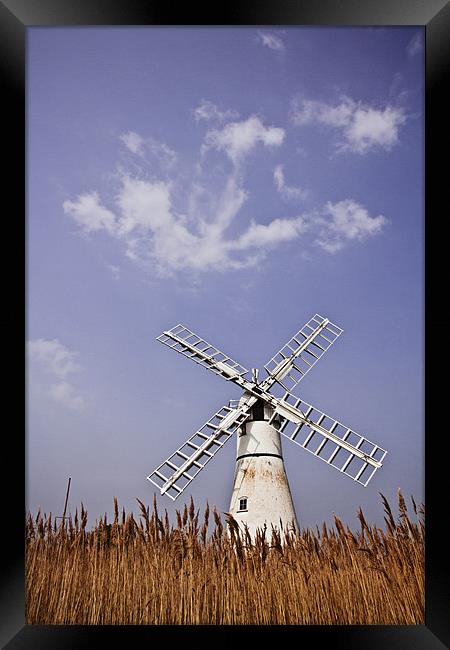 Thurne Windmill through the Reeds Framed Print by Paul Macro