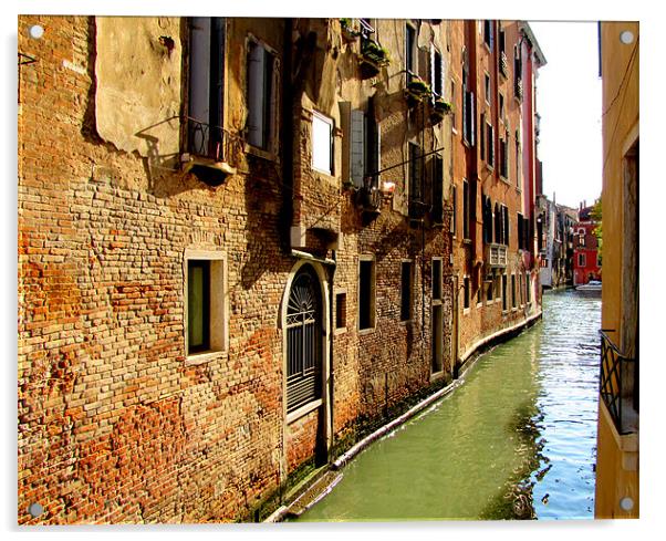 Venice Acrylic by barbara walsh