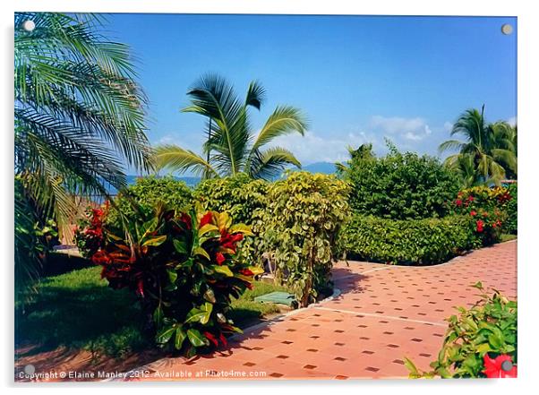 Tropical Garden Path Acrylic by Elaine Manley