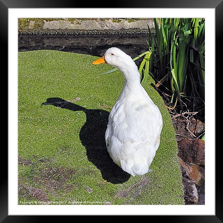 ME AND MY SHADOW Framed Mounted Print by Helen Cullens