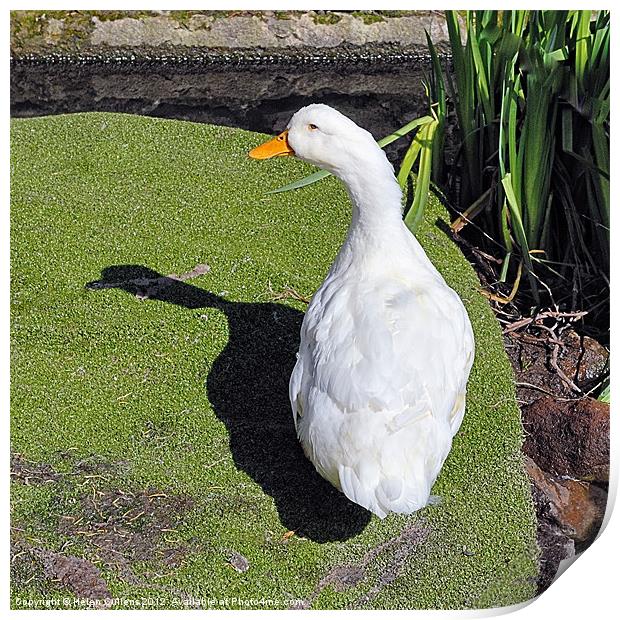 ME AND MY SHADOW Print by Helen Cullens