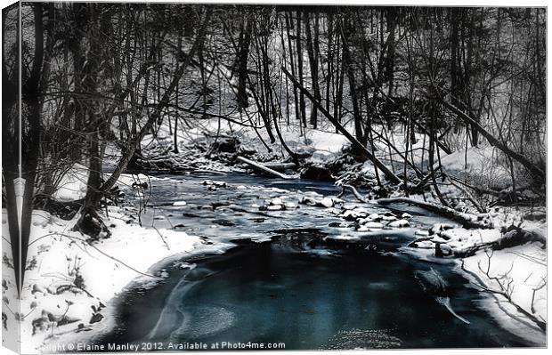 Forest Stream in Winter Canvas Print by Elaine Manley