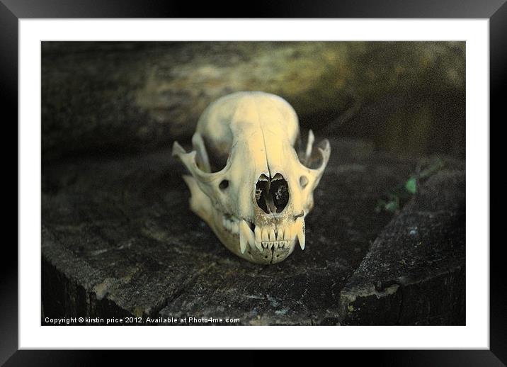 skull Framed Mounted Print by kirstin price