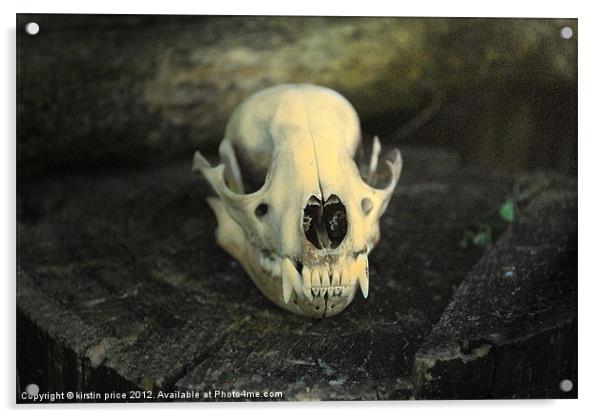skull Acrylic by kirstin price