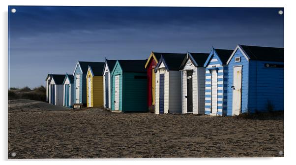 Beach Huts Acrylic by Paul Davis