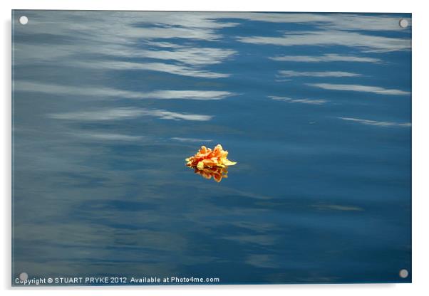 FLOATING FLOWER Acrylic by STUART PRYKE
