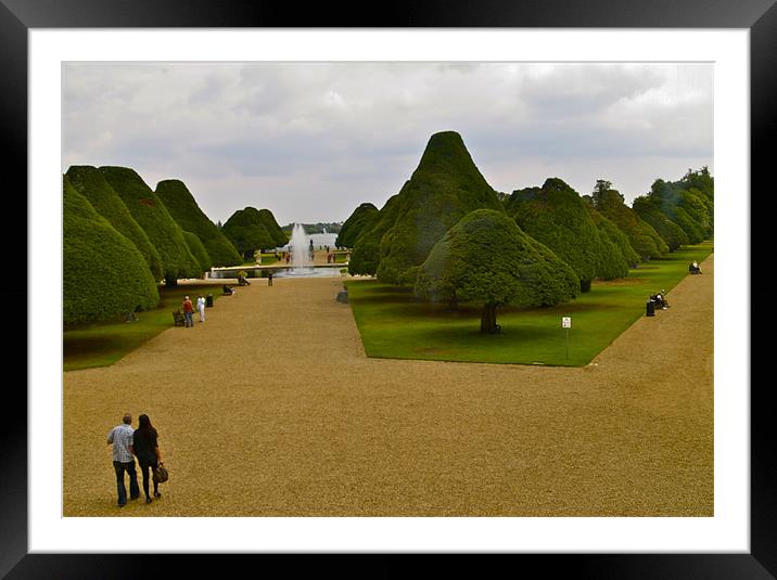 HAMPTON COURT GARDENS Framed Mounted Print by radoslav rundic