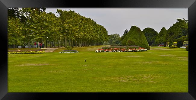 HAMPTON COURT GARDENS Framed Print by radoslav rundic