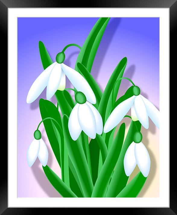 Snowdrops Close-up Framed Mounted Print by Lidiya Drabchuk