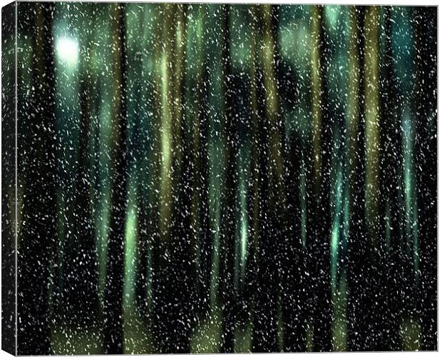moonlight and snow Canvas Print by Heather Newton