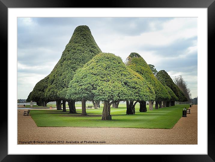 TRIANGULAR TREES Framed Mounted Print by Helen Cullens