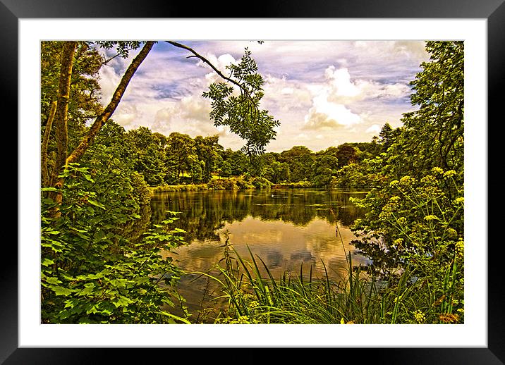 Clowance Estate, Cornwall Framed Mounted Print by Brian Spooner
