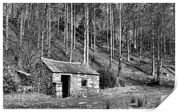 BOTHY Print by Helen Cullens