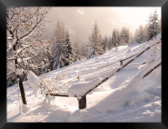 winter scene Framed Print by david harding
