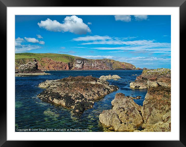 St Abbs Head Framed Mounted Print by Colin Chipp