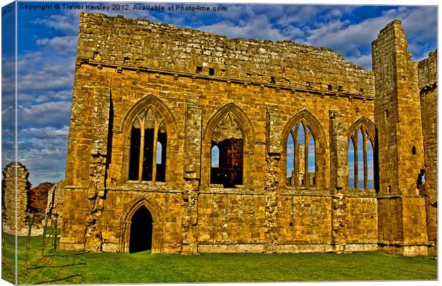 Egglestone Abbey Ruins Canvas Print by Trevor Kersley RIP