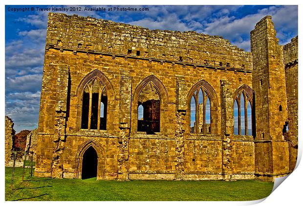 Egglestone Abbey Ruins Print by Trevor Kersley RIP