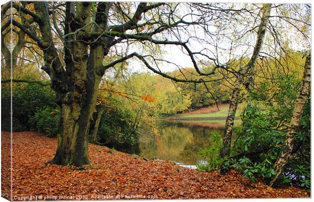 Autumn View In The Park Canvas Print by philip milner