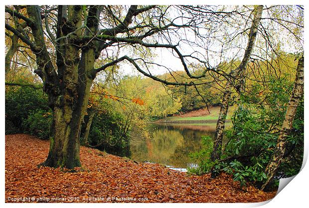 Autumn View In The Park Print by philip milner
