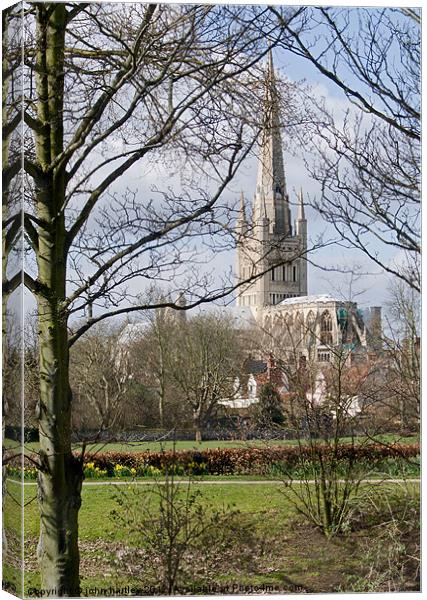  Anglican Cathedral Norwich Canvas Print by john hartley