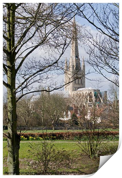  Anglican Cathedral Norwich Print by john hartley
