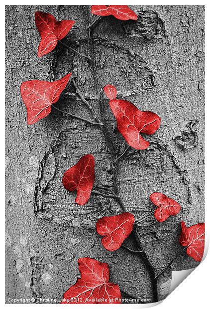 Natures Trimmings Print by Christine Lake