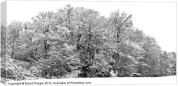 Snow Scene In Monochrome Canvas Print by David Pringle