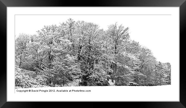 Snow Scene In Monochrome Framed Mounted Print by David Pringle