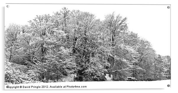 Snow Scene In Monochrome Acrylic by David Pringle